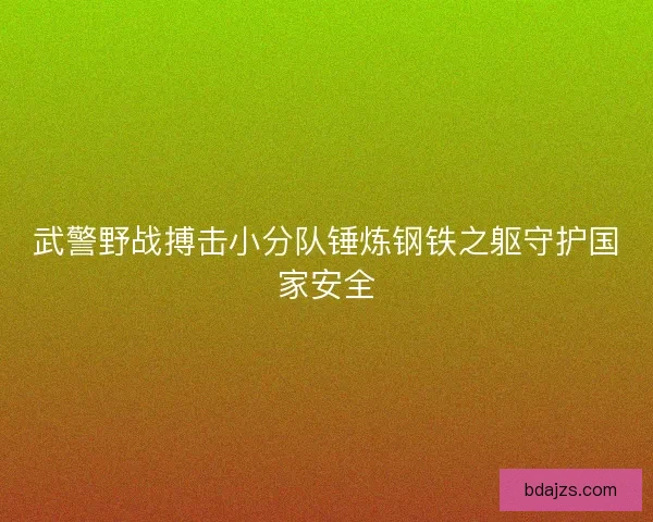 武警野战搏击小分队锤炼钢铁之躯守护国家安全